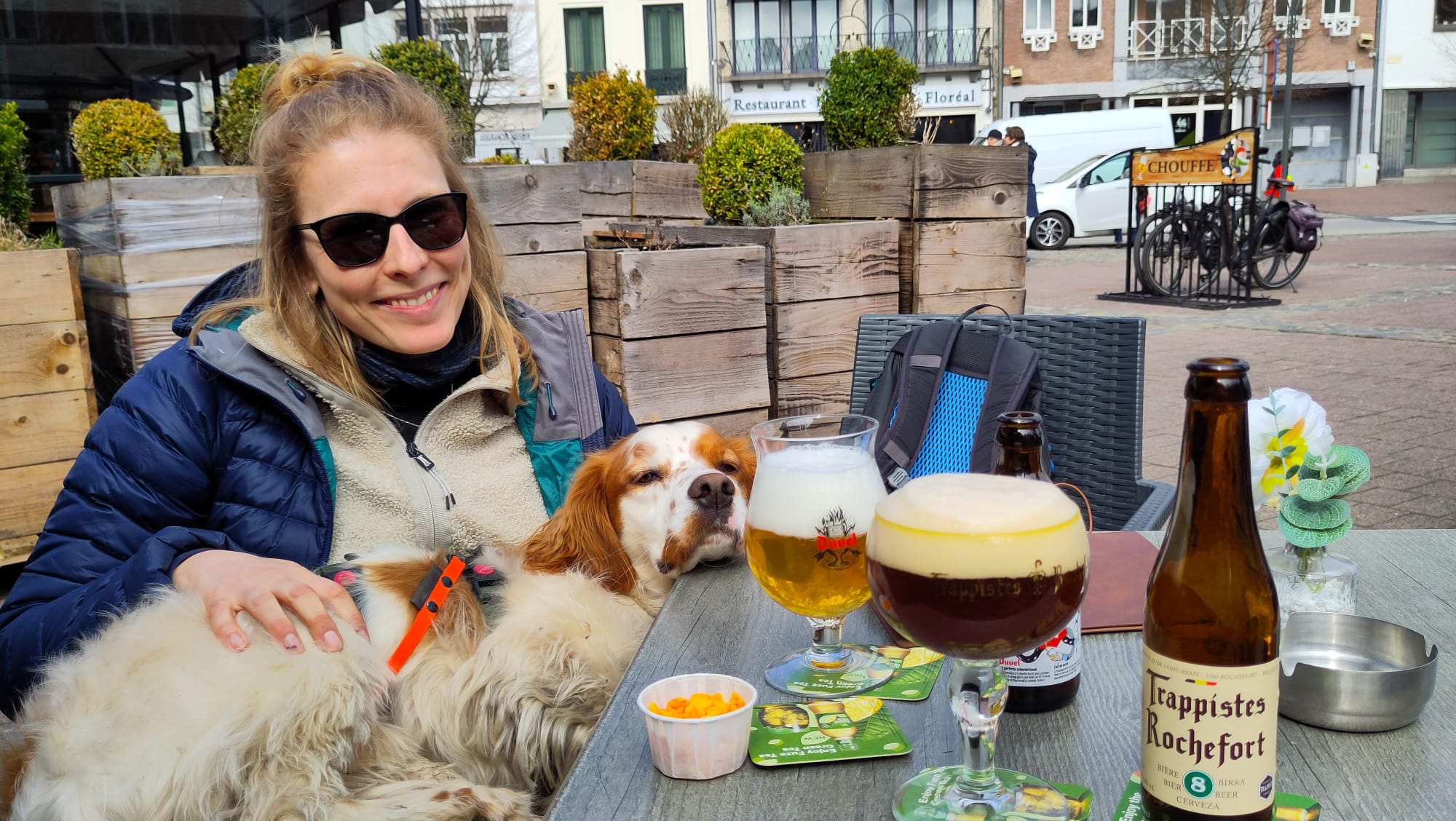 Terras training Hond Verhuisdieren