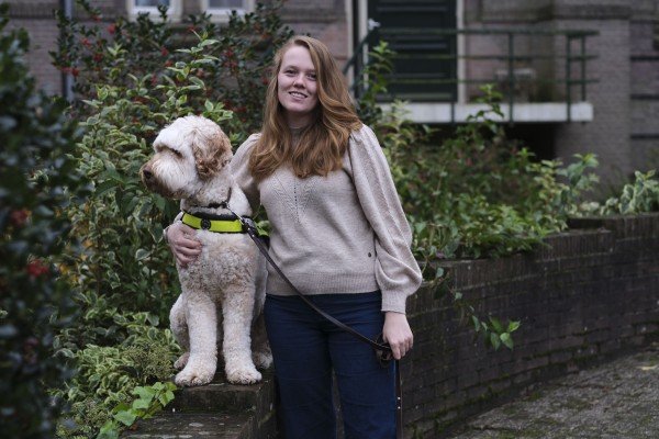Hulphond adopteren Verhuisdieren