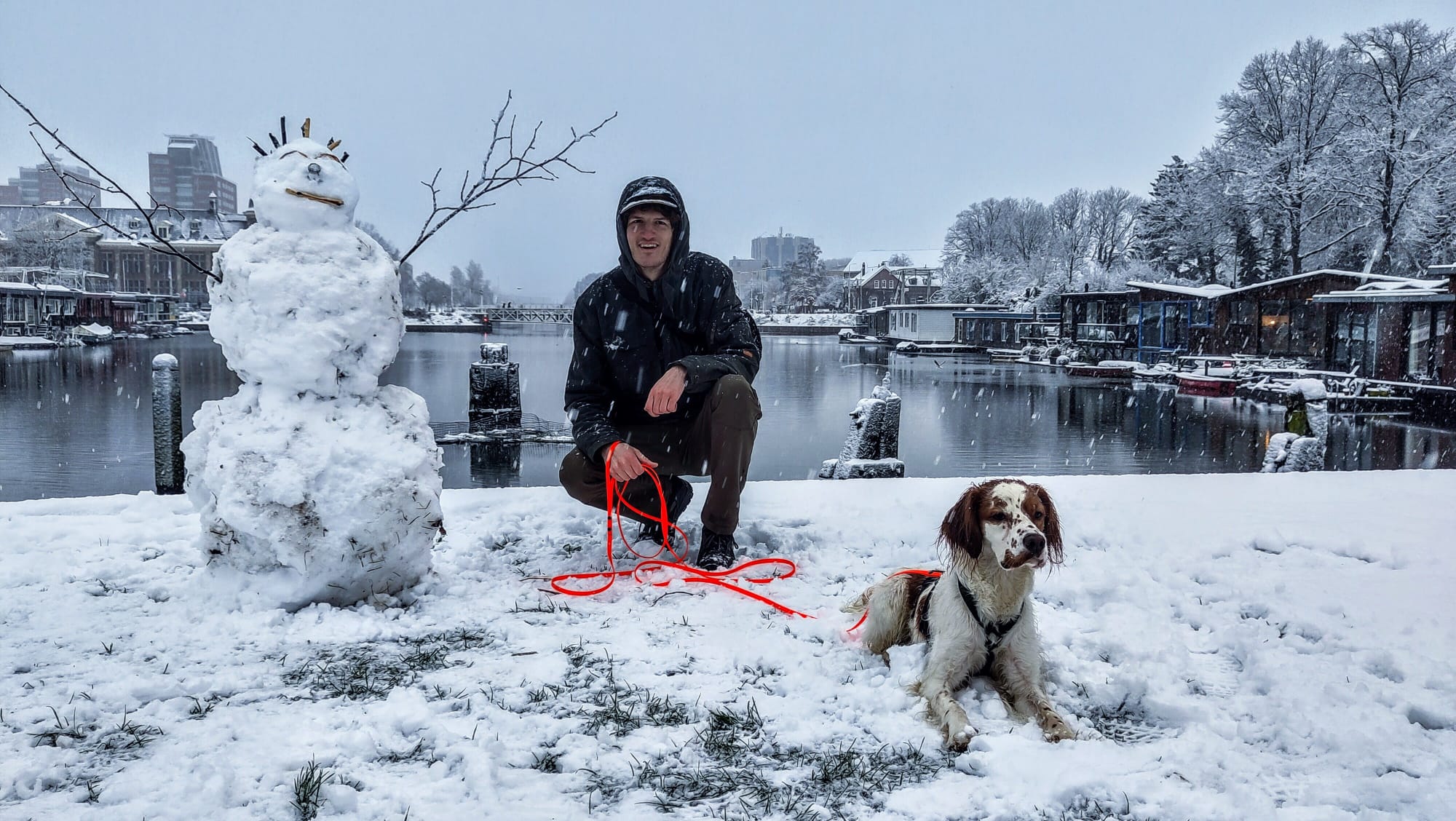 Sneeuw Hond Verhuisdieren