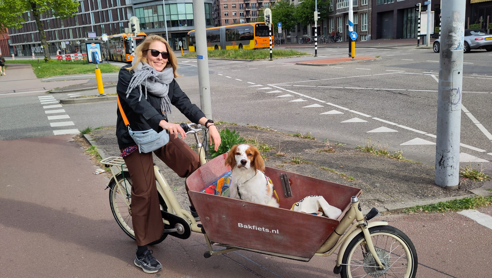 Bakfiets Hond Verhuisdieren