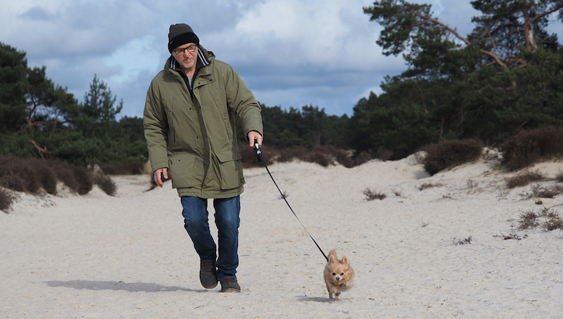 Chihuahua adopteren Verhuisdieren