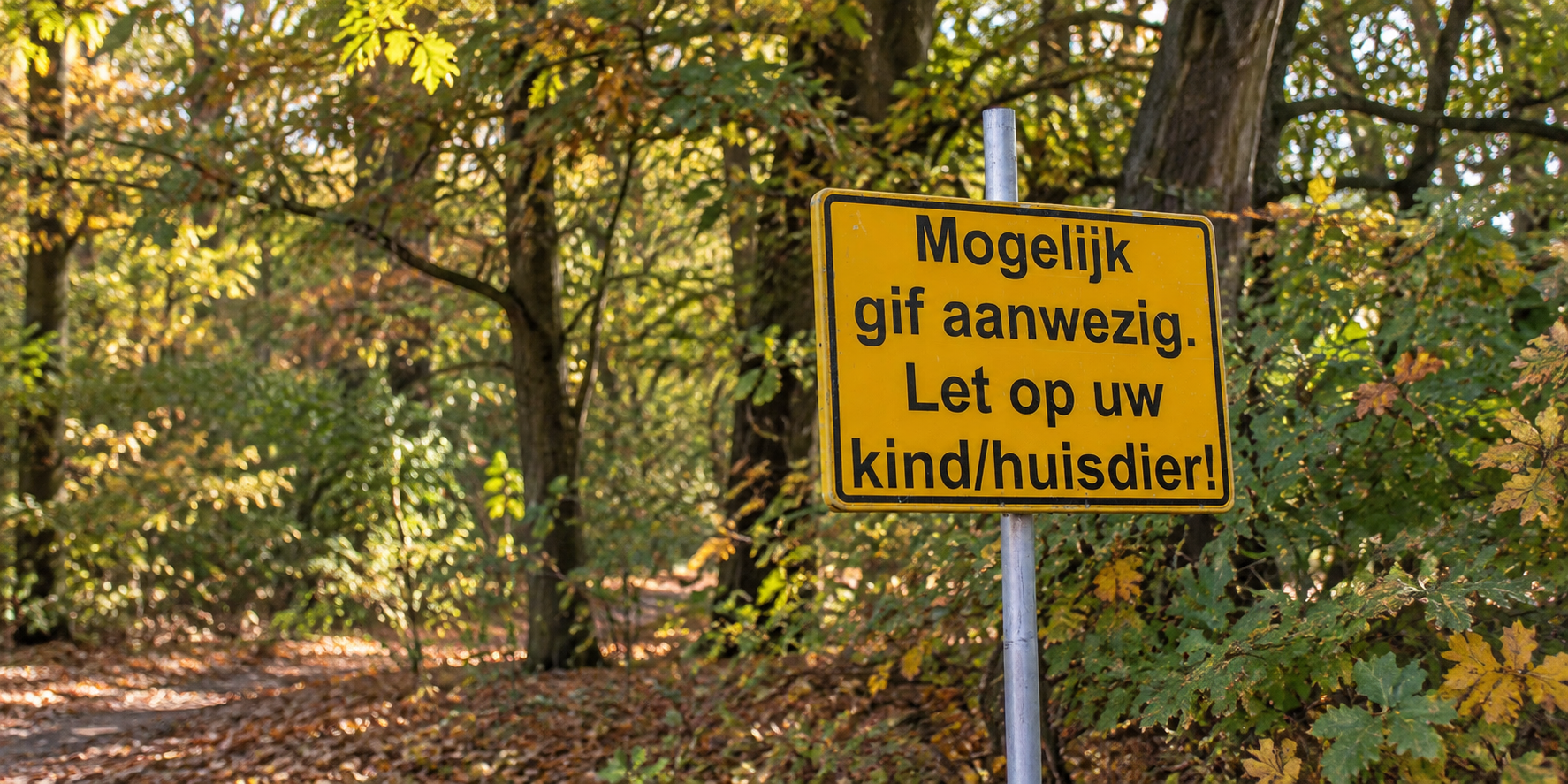 Giftige paddestoelen