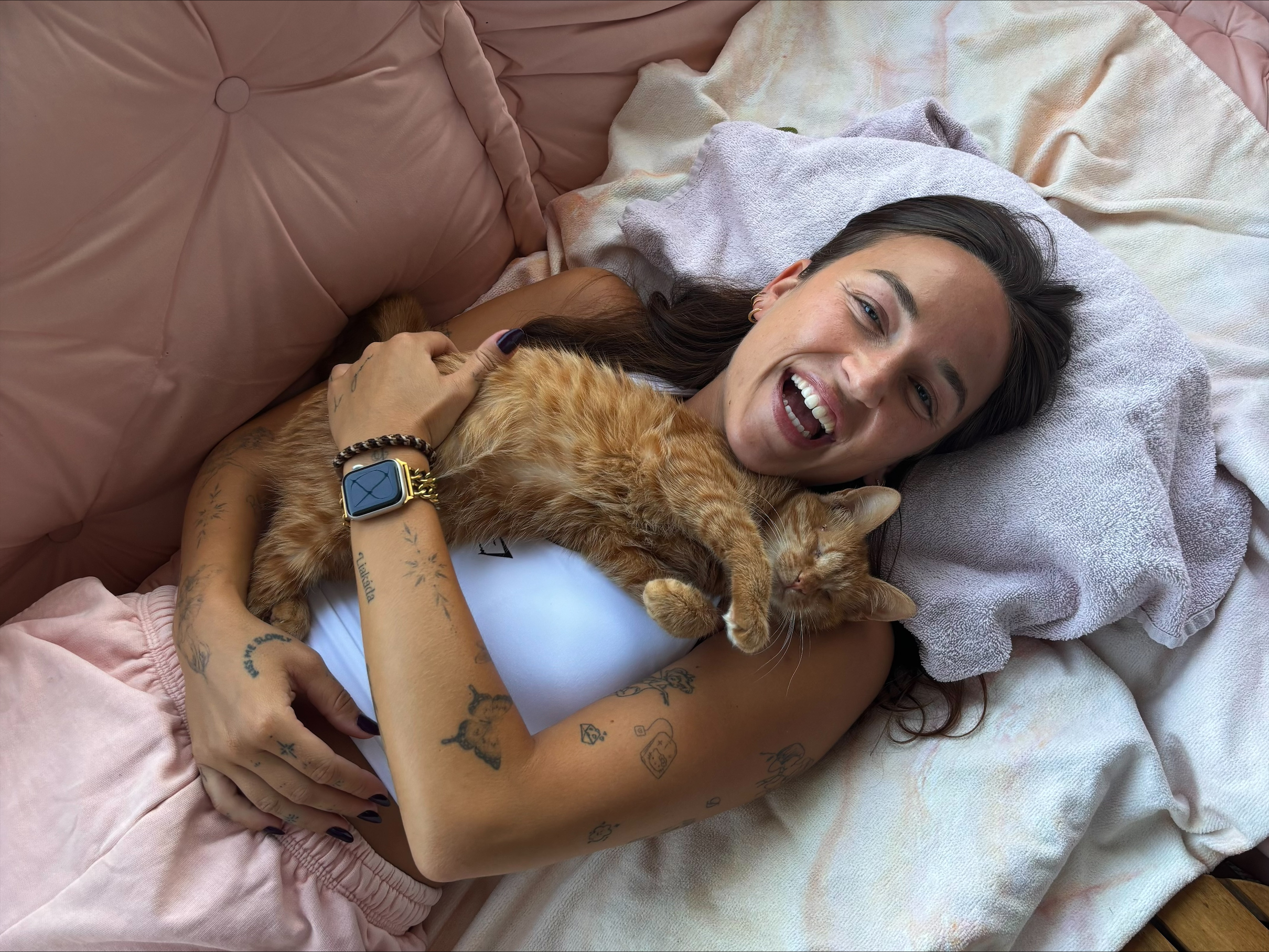 Senior kat zwerfkatten adopteren