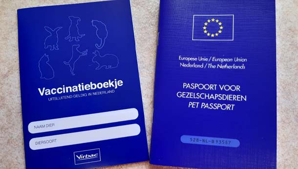 Vaccinatieboekje vs. EU paspoort