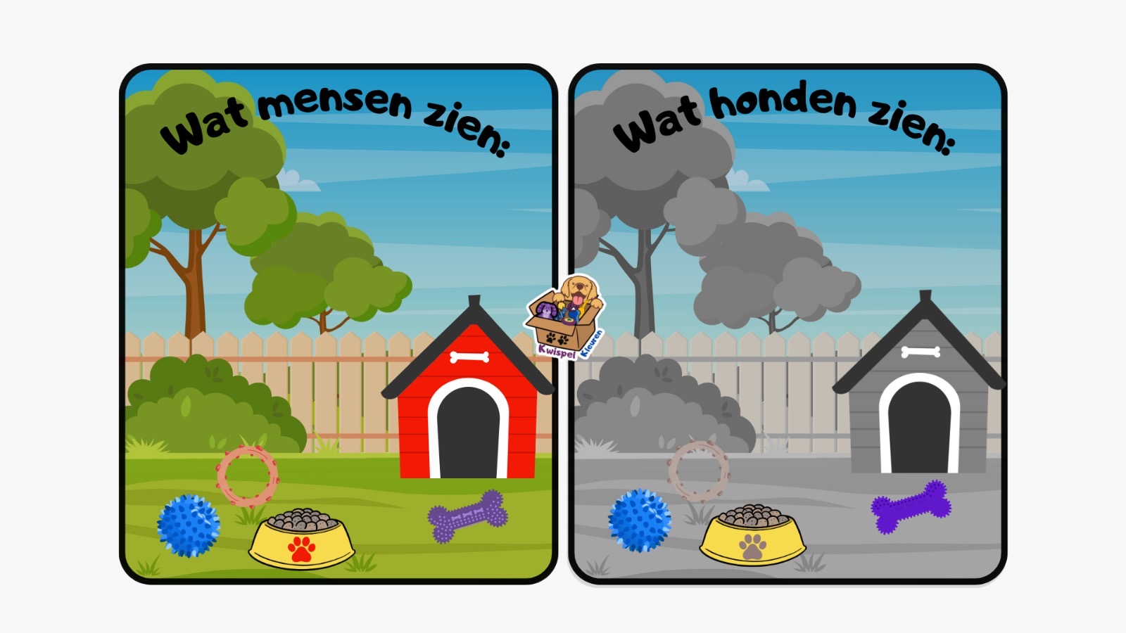 Welke kleuren zien honden