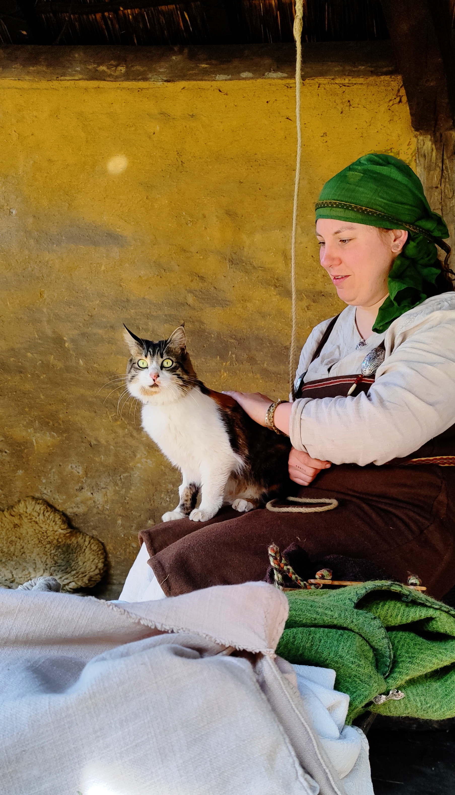 Larp event Adoptiekat kat Verhuisdieren