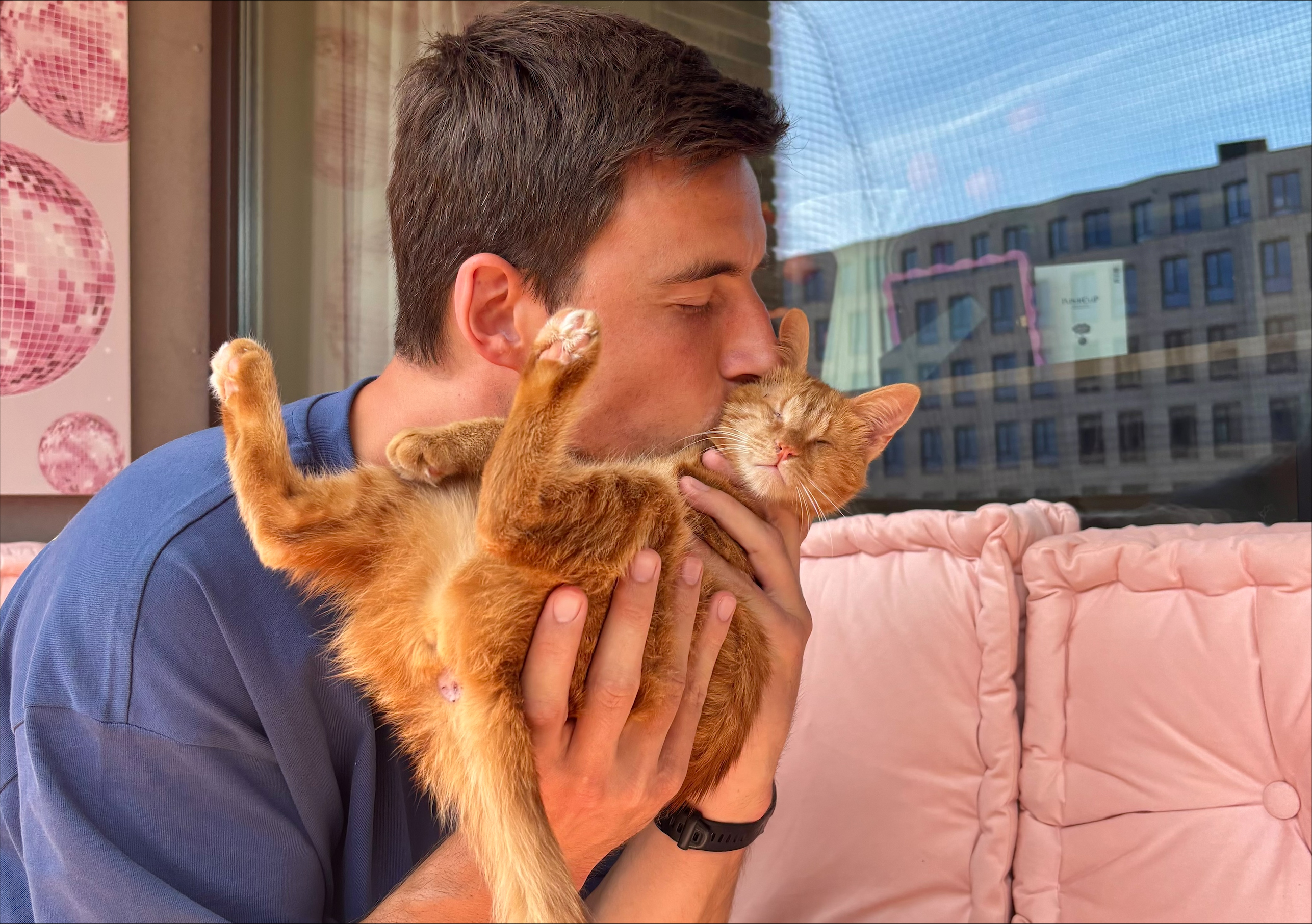 Balkon afzetten kat Verhuisdieren