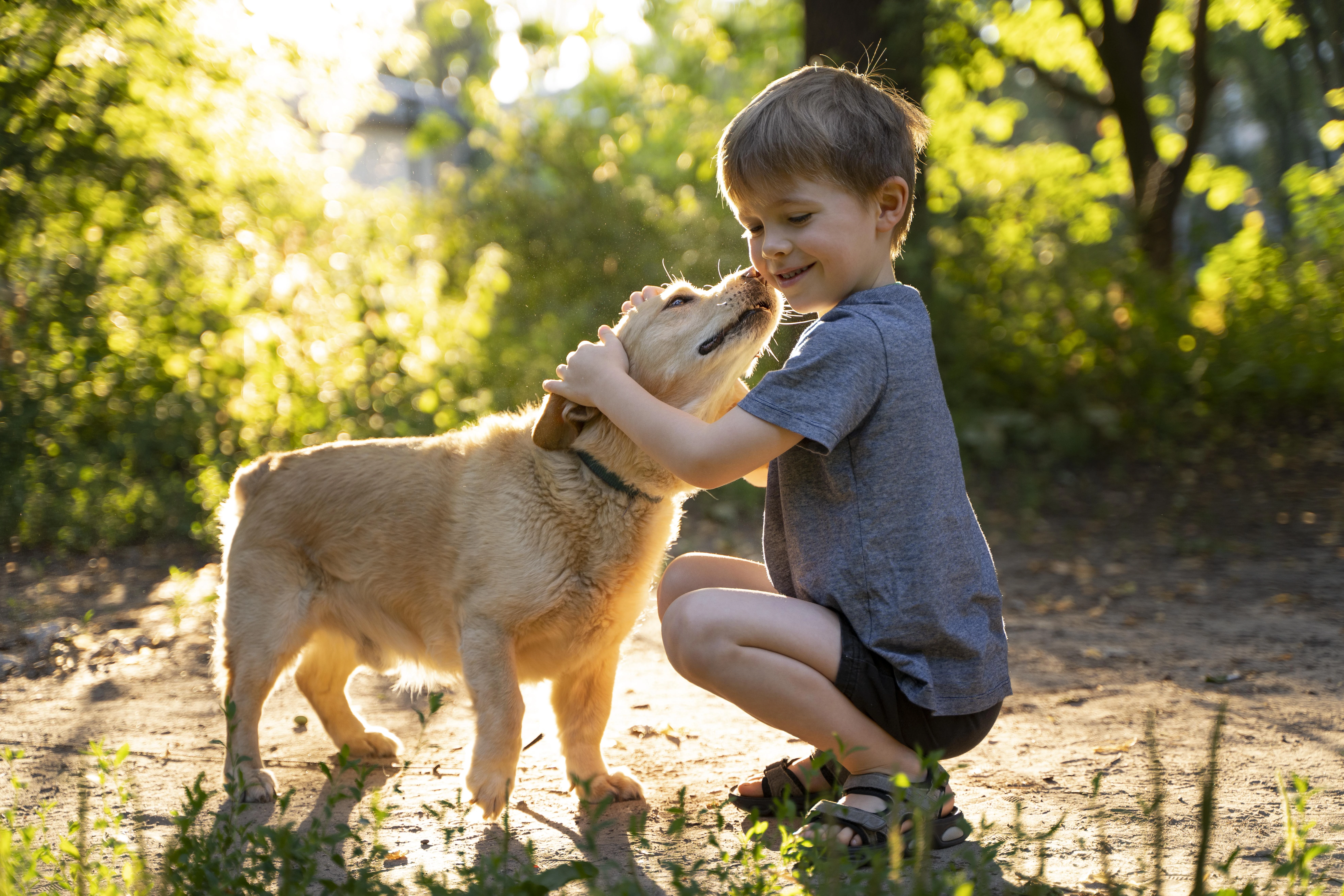 3-3-3 regel honden Verhuisdieren